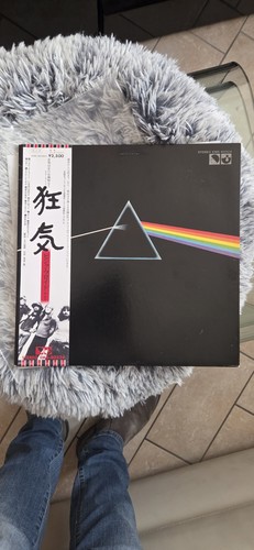 Disco vinile pink floyd - in,