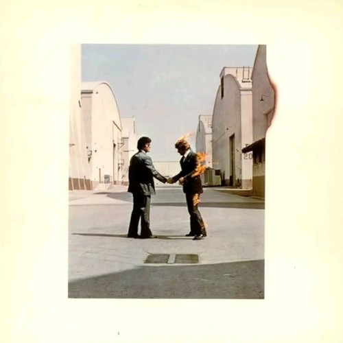 Pink floyd vinile - vinile, lp
