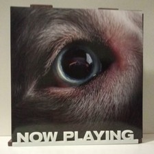 Roger Waters The Dark Side of